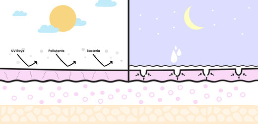 Syncing Your Skincare Routine to Your Circadian Rhythm and Why It’s So Important!